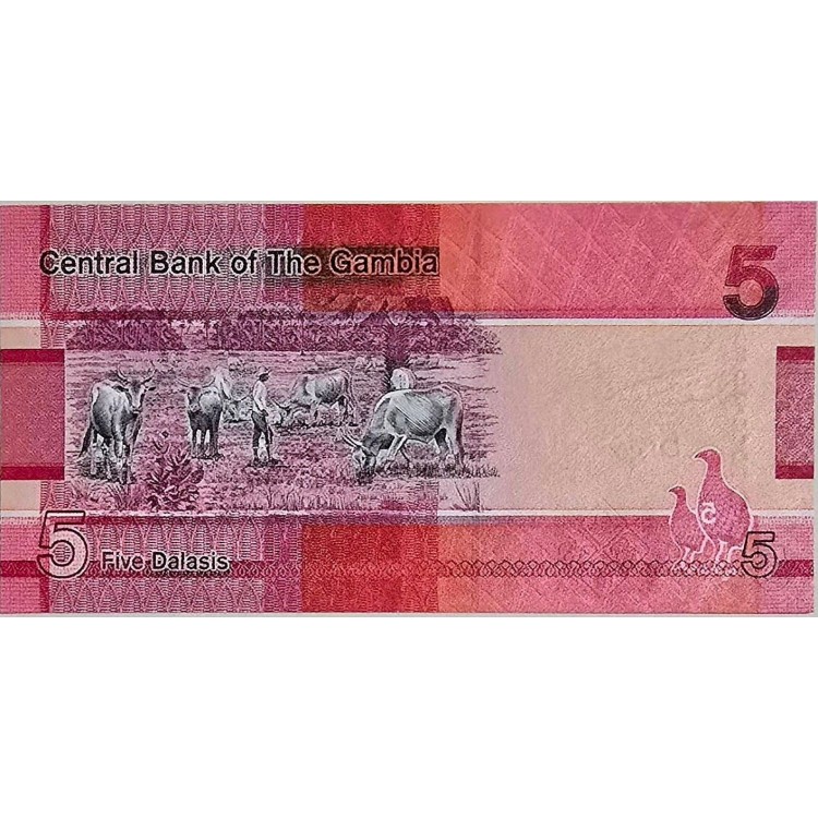 GAMBİYA  5 DALASİS  PİK P-37  YIL 2019 KONDİSYON 10/10