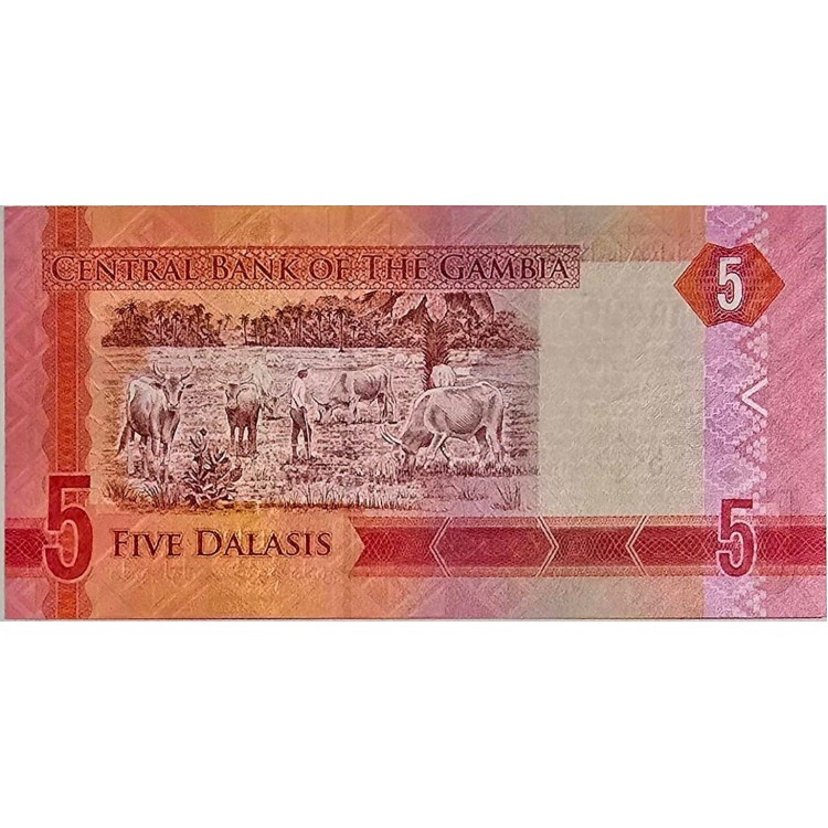 GAMBİYA  5 DALASİS  PİK P-31 YIL 2015 KONDİSYON 10/10