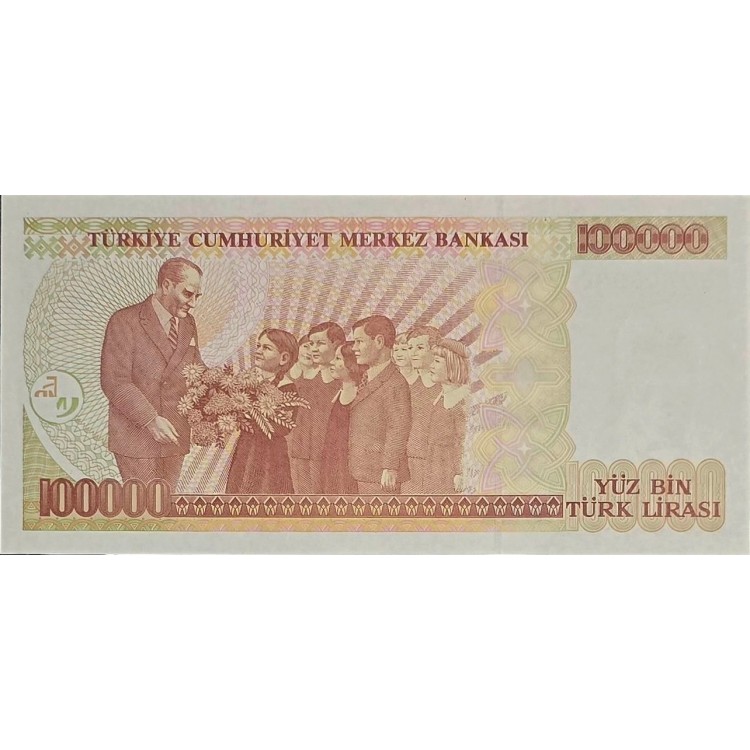 7 EMİSYON 100,000 LİRA PİK P-206 YIL 1996 KONDİSYON 10/10